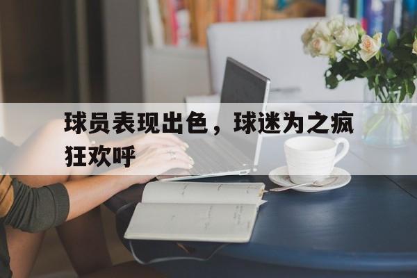 球员表现出色，球迷为之疯狂欢呼